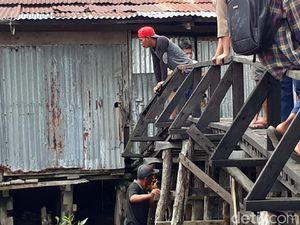 Belum Bisa Dievakuasi, Harimau Terjebak di Kolong Ruko Diberi Ayam