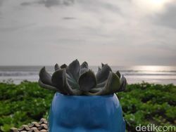 Menjajal Kamera Xiaomi Pocophone F1 di Pulau Dewata