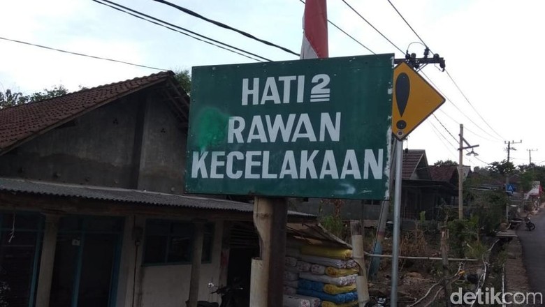 Banyak Hewan Nyeberang, Pemudik di Lintas Sumatera Harus Waspada Banyak Hewan Nyeberang, Pemudik di Lintas Sumatera Harus Waspada