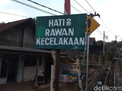 Banyak Hewan Nyeberang, Pemudik di Lintas Sumatera Harus Waspada