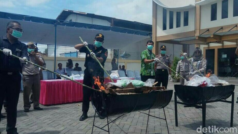 Tumbuhan Luar Negeri Dimusnahkan Balai Pertanian di Banyuwangi Tumbuhan Luar Negeri Dimusnahkan Balai Pertanian di Banyuwangi
