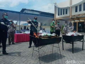 Tumbuhan Luar Negeri Dimusnahkan Balai Pertanian di Banyuwangi