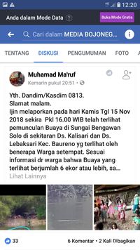 Viral, Penampakan Enam Buaya di Bengawan Solo