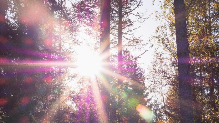 Ilustrasi flare. (Foto: unsplash) Ilustrasi flare. (Foto: unsplash)