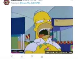 Ramai Teori Bumi Donat: Homer Simpson dan Pikachu Ikut Muncul