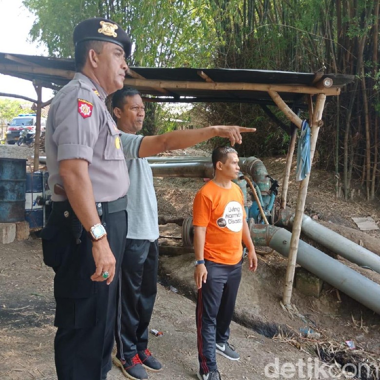 Viral, Penampakan Enam Buaya di Bengawan Solo Viral, Penampakan Enam Buaya di Bengawan Solo