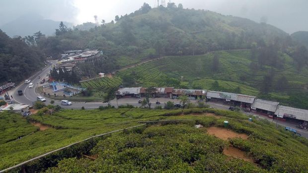 Polisi Bekuk Pelaku dan Korban Kawin Kontrak di Puncak Bogor