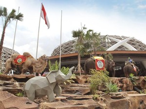 Unik Banget, Tamu Disambut Unta dan Gajah di Lobi Resor Ini
