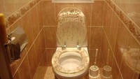 Mau coba toilet duduk berdesain keren ini? Istimewa/Ivan Zykov.