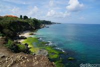 Pantai Tegal Wangi dari ketinggian (Syanti/detikTravel)