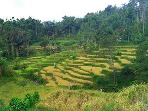 Sejuknya Desa Wisata Malasari, Bikin Malas Pulang!