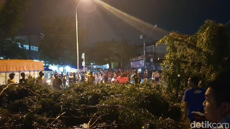 Pohon Tumbang di Semarang Timpa Motor yang Melintas Pohon Tumbang di Semarang Timpa Motor yang Melintas