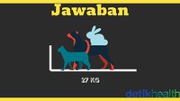Kunci jawabannya berat kelinci tiga kilogram, kucing tujuh kilogram, dan anjing 17 kilogram. (Foto: detikHealth)