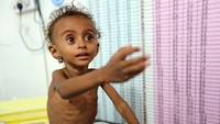 Peringatan pimpinan WFP itu dilandasi data yang menunjukkan jumlah warga yang berada di ambang kelaparan diperkirakan mencapai 12-14 juta jiwa atau hampir 50% dari total penduduk Yaman, negara yang terletak di Jazirah Arab. Abduljabbar Zeyad/Reuters.