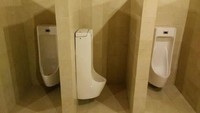 Apa maksudnya coba buat desain toilet seperti ini? Istimewa/Orangjuice.