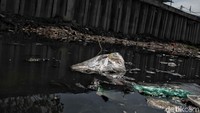 Airnya pun berwarna hitam seperti tercemar.