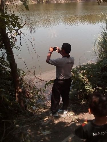 Penampakan Buaya di Bengawan Solo, BKSDA: Diduga Buaya Muara