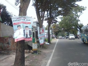 TKD Garut Cabuti Poster Jokowi-Maruf Amin yang Dipaku di Pohon