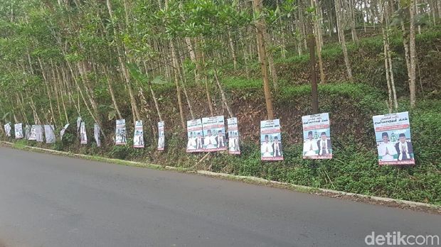 Poster Jokowi-Ma'ruf Dipaku di Pohon, TKD Garut Lakukan Investigasi