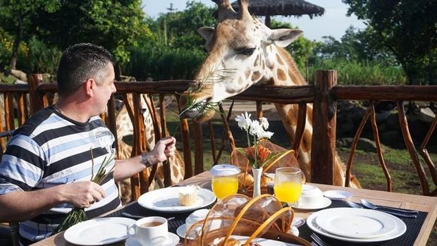 Liburan ke Jatim? Coba Menginap Bareng Jerapah & Zebra di Resor Ini