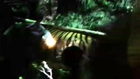 Rupanya, ada luka pada kaki kiri harimau tersebut, yang diduga akibat jerat.Ada sedikit luka di sebelah kaki kiri depan yang menurut analisis tim medis kami, adalah luka karena jeratan, kata Kepala BBKSDA Riau Suharyono kepada detikcom, Sabtu (17/11/2018).Selain ada luka bekas jeratan, lanjut Haryono, struktur gigi taring ada yang retak. Mungkin akibat menggigit jerat. (Foto: dok. BBKSDA Riau)