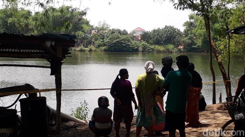 88 Koleksi Foto Penampakan Buaya Putih Terbaik