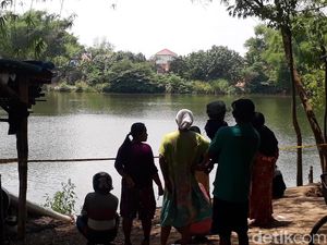 Mitos di Balik Munculnya 6 Buaya Bengawan Solo