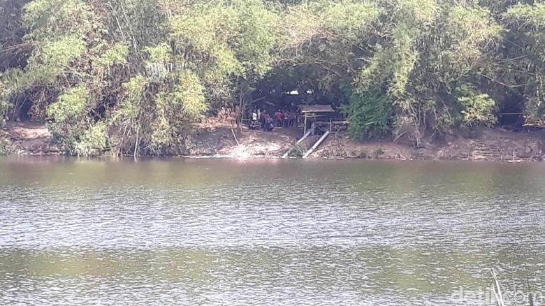 Ada Penampakan Buaya di Bengawan Solo, Ini Tindakan BKSDA Ada Penampakan Buaya di Bengawan Solo, Ini Tindakan BKSDA