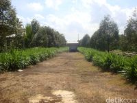 Dulu Angker, Kini Jadi Agrowisata