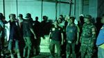 Detik-detik Mendebarkan Evakuasi Harimau Terjebak di Kolong Ruko