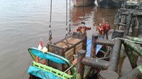 Dari lokasi Pulau Burung, harimau kita bawa dengan speed boad untuk dibawa ke Tembilahan (Ibu Kota Inhil). Selajutnya dari Tembilahan kita akan via darat menuju ke Dharmasraya, kata Haryono. (Foto: dok. BBKSDA Riau)
