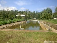 Dulu Angker, Kini Jadi Agrowisata