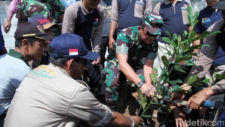 Cegah Erosi, Ribuan Pohon Ditanam di Bantaran Sungai Citarum Cegah Erosi, Ribuan Pohon Ditanam di Bantaran Sungai Citarum