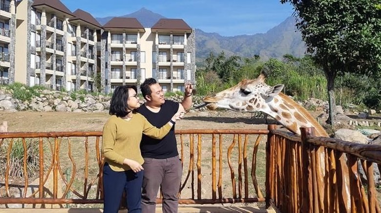 Foto: taman safari Foto: taman safari