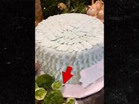 Rayakan Ulang Tahun Keponakan, Kue yang Diberikan Kylie Jenner Ada Kecoa!