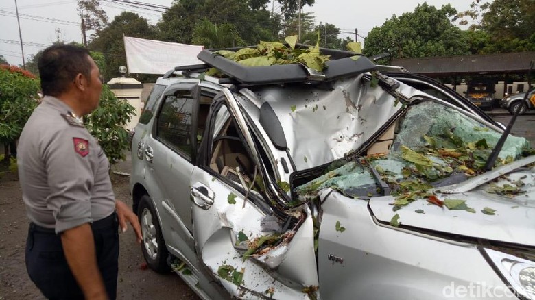 Pohon Timpa Mobil Akibat Hujan, Anak Tewas Bapak Luka Pohon Timpa Mobil Akibat Hujan, Anak Tewas Bapak Luka