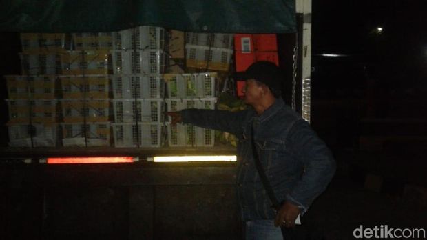 Petugas Gabungan Gagalkan Penyelundupan Puluhan Ribu Burung