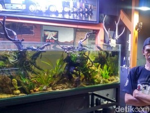 Hobi Bikin Kebun di Akuarium Hasilkan Omzet Puluhan Juta