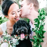 Para anjing yang ikut serta dalam pernikahan ini juga didandani dengan cantik. Ada yang memakai jas hingga rangkaian bunga di lehernya. Penampilan anjing pun jadi lebih spesial. Foto: Pinterest