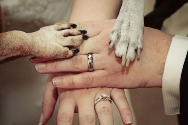 Foto cincin di jari manis sudah mainstream. Foto ini jadi unik, karena mengikut sertakan kaki anjing di dalam frame foto pernikahan. Gemas ya? Foto: Pinterest