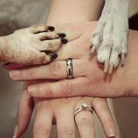 Foto cincin di jari manis sudah mainstream. Foto ini jadi unik, karena mengikut sertakan kaki anjing di dalam frame foto pernikahan. Gemas ya? Foto: Pinterest