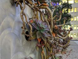 Inikah Smartphone dengan Jepretan Foto Gelap Terbaik?