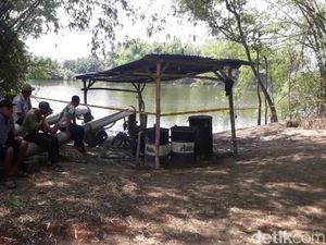 Warga Percaya Kemunculan Buaya di Bengawan Solo Karena Sebab Ini