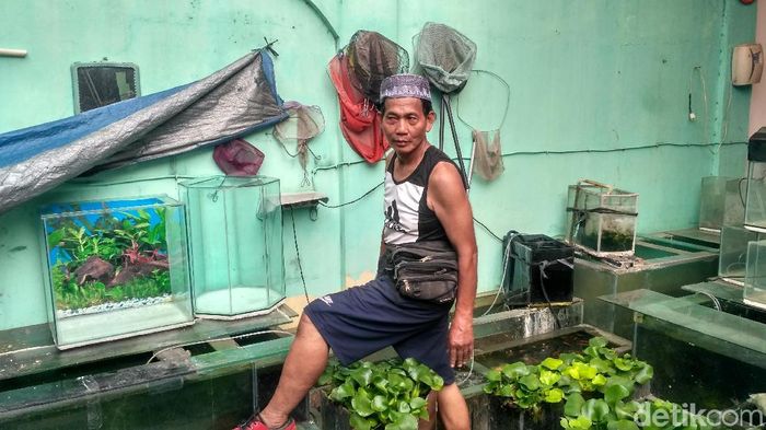 Foto: Obet penjual aquarium (Achmad Dwi-detikFinance) Foto: Obet penjual aquarium (Achmad Dwi-detikFinance)