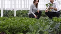 Siapa bilang laki-laki tak bisa berkebun? Justin kelihatan jago saat memanen beberapa daun-daunan segar. Foto: Instagram justinpjtrudeau