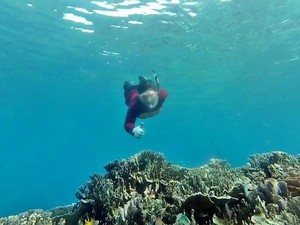 Bawah Laut Halmahera Selatan, Mantap Jiwa!