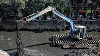 Mumu sendiri mengatakan kontur tanah yang tidak stabil menjadi salah satu penyebab amblesnya tanah di bantaran Kali Ciliwung.