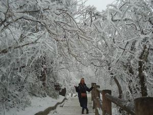 Puncak Emas dan Winter Wonderland di Gunung Emei China