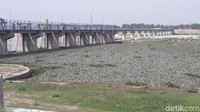 Teror eceng gondok terlihat memenuhi bendungan.