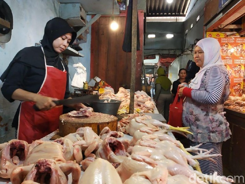  Harga  Daging Ayam dan Telur di  Jember  Naik Jelang Maulid Nabi